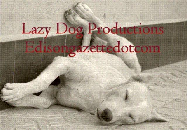Lazy Dog Productions